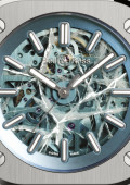 BR05 Skeleton Arctic Blue