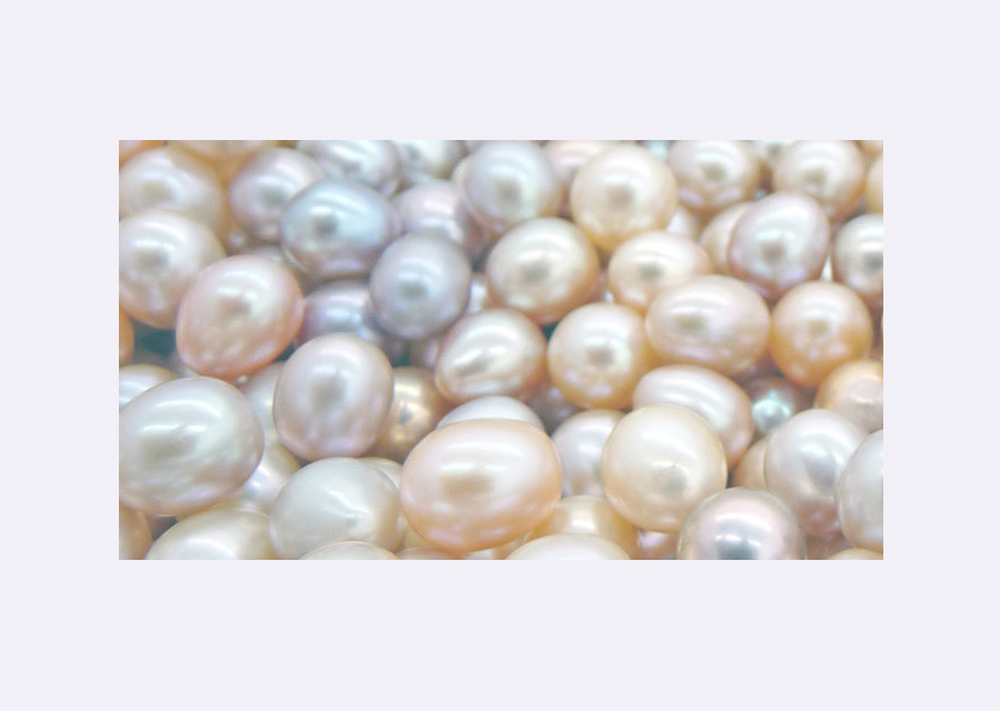Quelle est la différence entre une perle d'eau douce et perle de mer ?