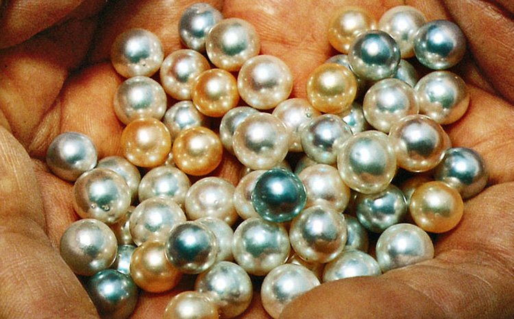 Les perles de nacre et leurs secrets - MyWatch FR